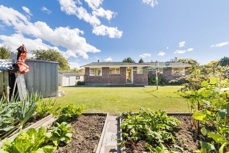 Photo of property in 6-8 East Road, Shannon, 4821