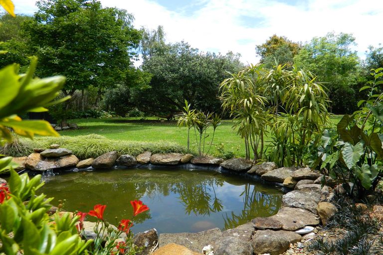 Photo of property in 32 Shepherd Road, Kerikeri, 0230