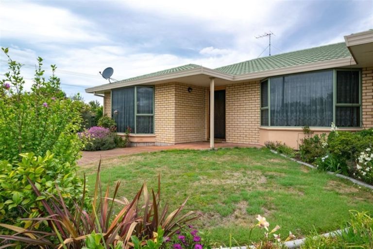 Photo of property in 134 Redwood Street, Redwoodtown, Blenheim, 7201