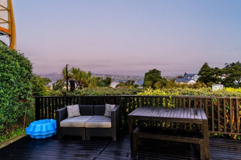 Photo of property in 3 Strathmore Crescent, Roslyn, Dunedin, 9010