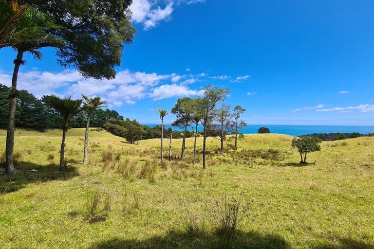 Photo of property in 1702 Colville Road, Amodeo Bay, Coromandel, 3584