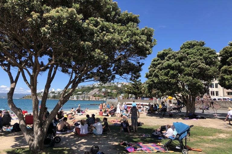 Photo of property in 156a Oriental Parade, Oriental Bay, Wellington, 6011