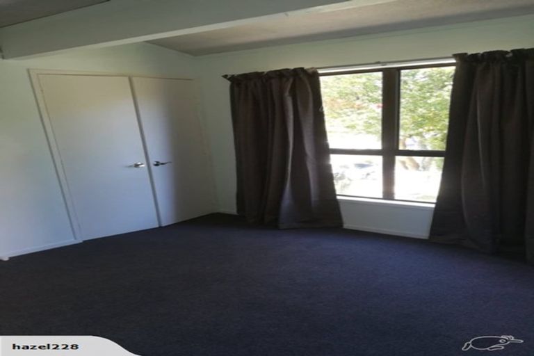 Photo of property in 44 Hazelwood Avenue, Dinsdale, Hamilton, 3204