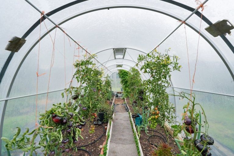 Photo of property in 193 Mason Road, Seaward Bush, Invercargill, 9871