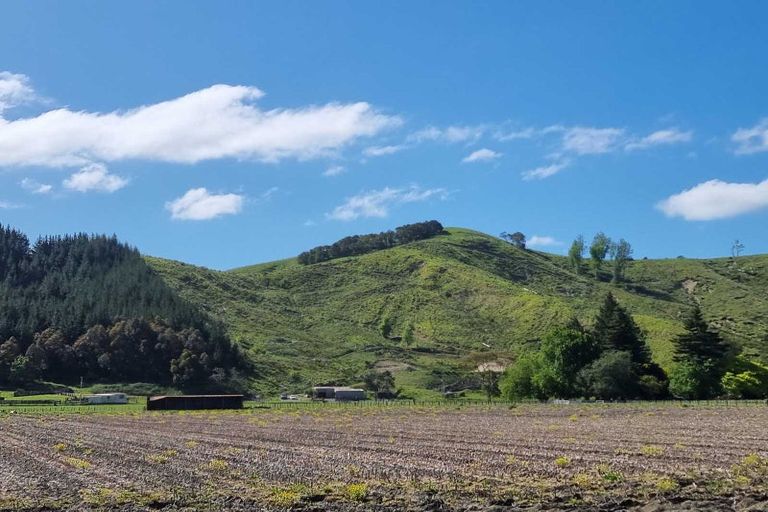 Photo of property in 162 Lake Road, Waituhi, Gisborne, 4072