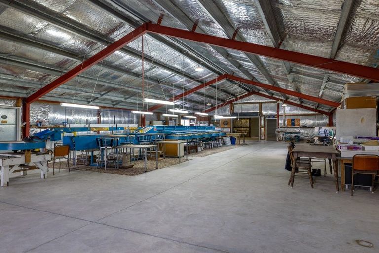 Photo of property in 225 Hoeka Road, Matangi, Hamilton, 3284