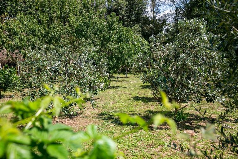 Photo of property in 5 Murray Street, Leamington, Cambridge, 3432