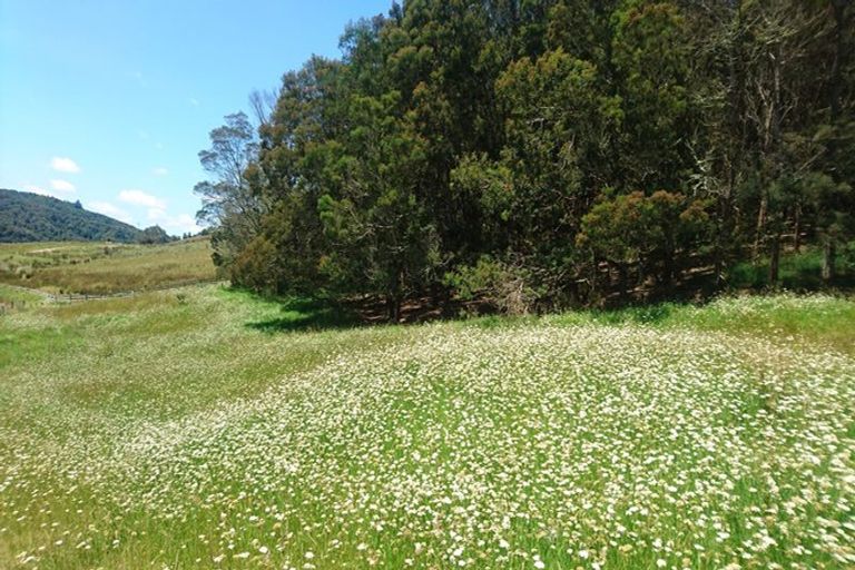 Photo of property in 123 Valley View Road, Otaika, Whangarei, 0170