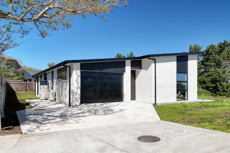 Photo of property in 24b Toro Street, Durie Hill, Wanganui, 4500