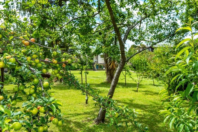 Photo of property in 74 Pacific Drive, Southbridge, Leeston, 7683