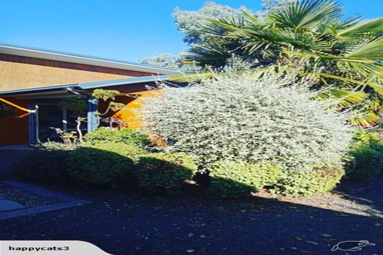 Photo of property in 38a King Street, Taradale, Napier, 4112