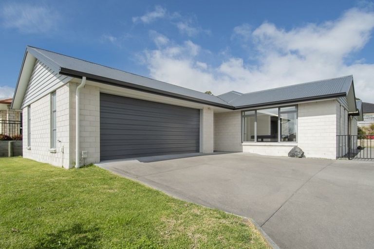 Photo of property in 161 Rowesdale Drive, Ohauiti, Tauranga, 3112