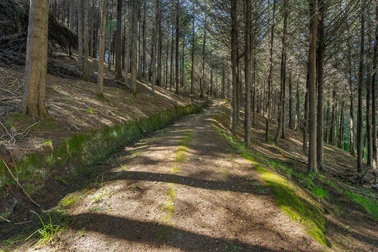 Photo of property in 370 Rosedale Road, Upper Moutere, 7175