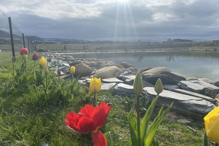 Photo of property in 175 Queensberry Terrace, Queensberry, Cromwell, 9383