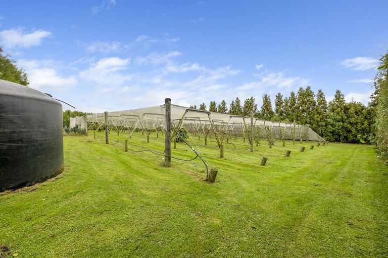 Photo of property in 280 Corbett Road, Paraite, New Plymouth, 4373