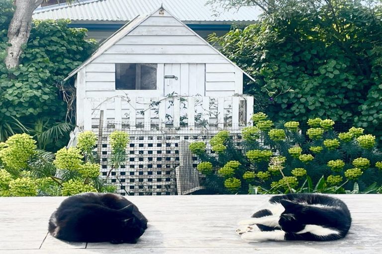 Photo of property in Inverey, 6 Maire Street, Eastbourne, Lower Hutt, 5013