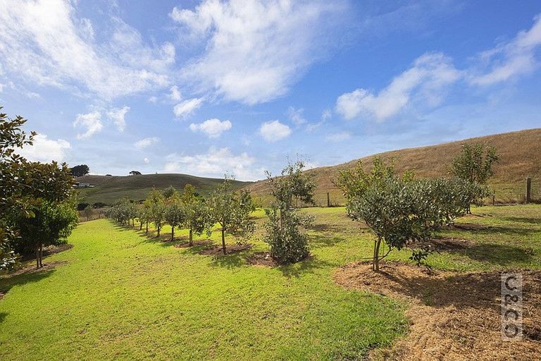 Photo of property in 231 Taiapa Road, Muriwai, Waimauku, 0881