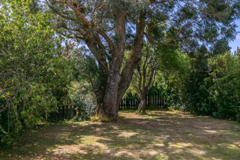 Photo of property in 1 Waite Street, Featherston, 5710