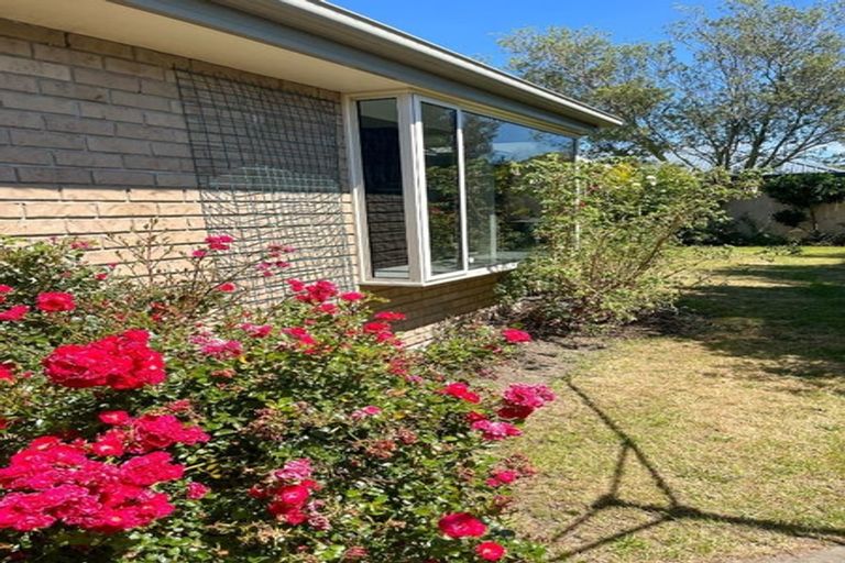 Photo of property in 30 Wrights Road, Addington, Christchurch, 8024