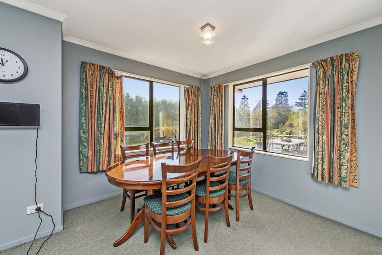 Photo of property in 17 Sarsfield Street, Southbridge, 7602