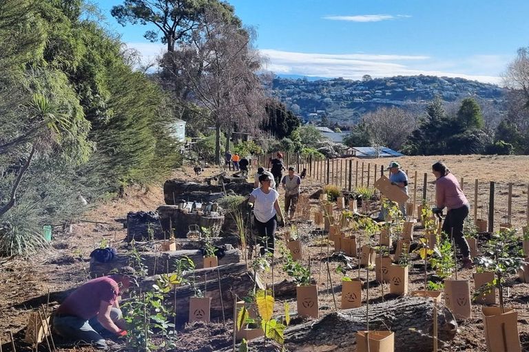 Photo of property in 3b Braemar Place, Nelson South, Nelson, 7010