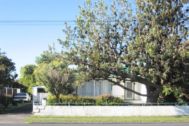Photo of property in 115 Clevedon Road, Papakura, 2110