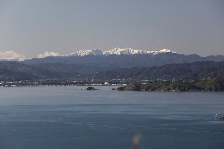 Photo of property in 21 Waipapa Terrace, Hataitai, Wellington, 6021