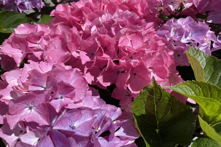 Photo of property in 43 Cashmere Avenue, Khandallah, Wellington, 6035