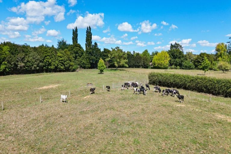Photo of property in 407 Kuranui Road, Morrinsville, 3372