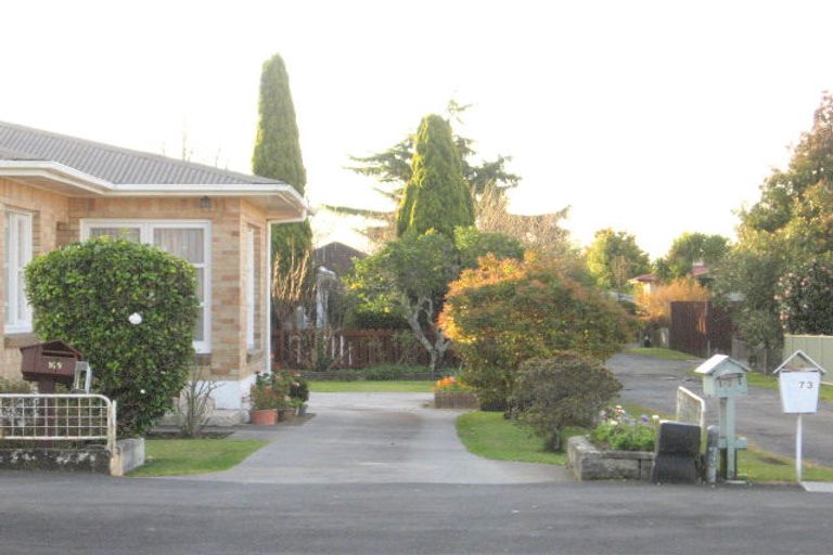 Photo of property in 171 Clarkin Road, Fairfield, Hamilton, 3214