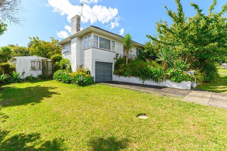 Photo of property in 48 Rogan Street, Mount Roskill, Auckland, 1041