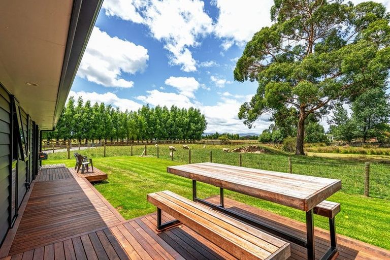 Photo of property in 569 Taonui Road, Colyton, Feilding, 4775