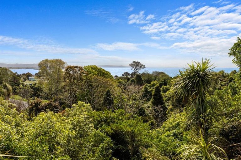 Photo of property in 21 Ngaparaoa Drive, Maketu, Te Puke, 3189