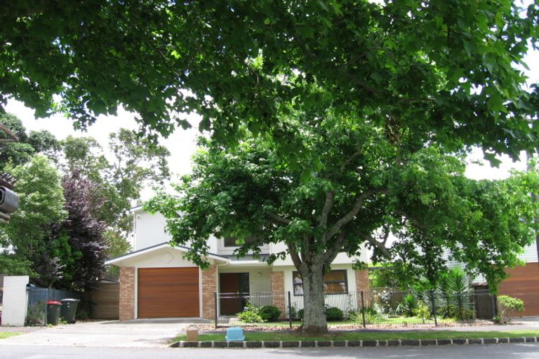 Photo of property in 60 Dignan Street, Point Chevalier, Auckland, 1022