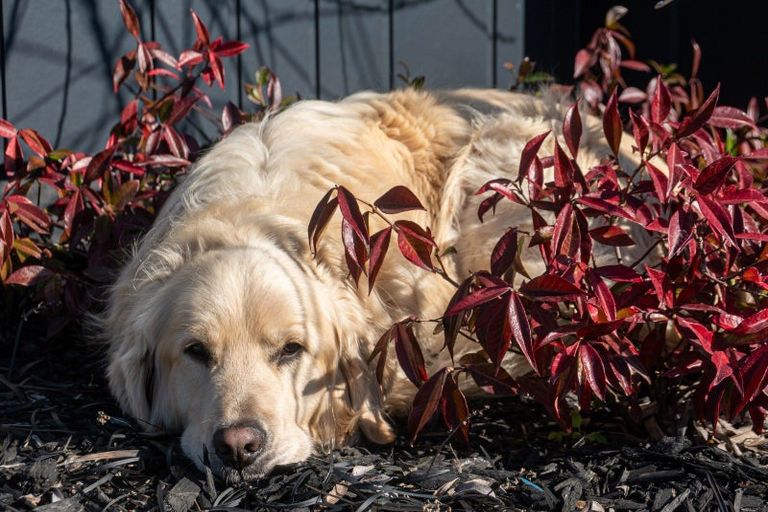 Photo of property in 124 Jarden Mile, Nukuhau, Taupo, 3330