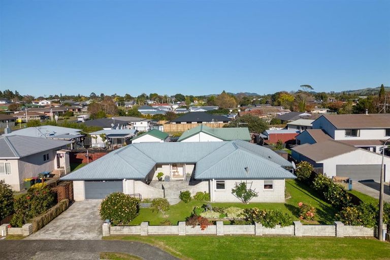Photo of property in 177 Cameron Road, Te Puke, 3119