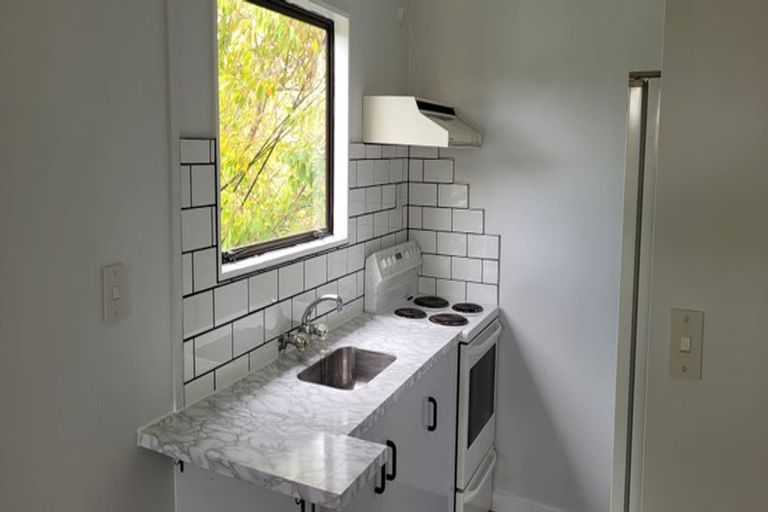 Photo of property in 152 Raroa Road, Aro Valley, Wellington, 6012