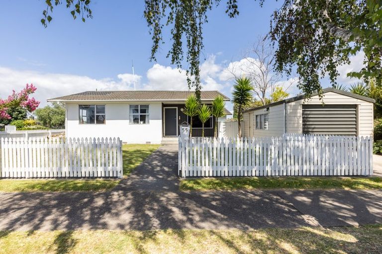 Photo of property in 55 Allen Berry Avenue, Pirimai, Napier, 4112