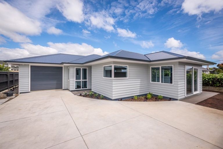 Photo of property in 93a Bartholomew Road, Levin, 5510