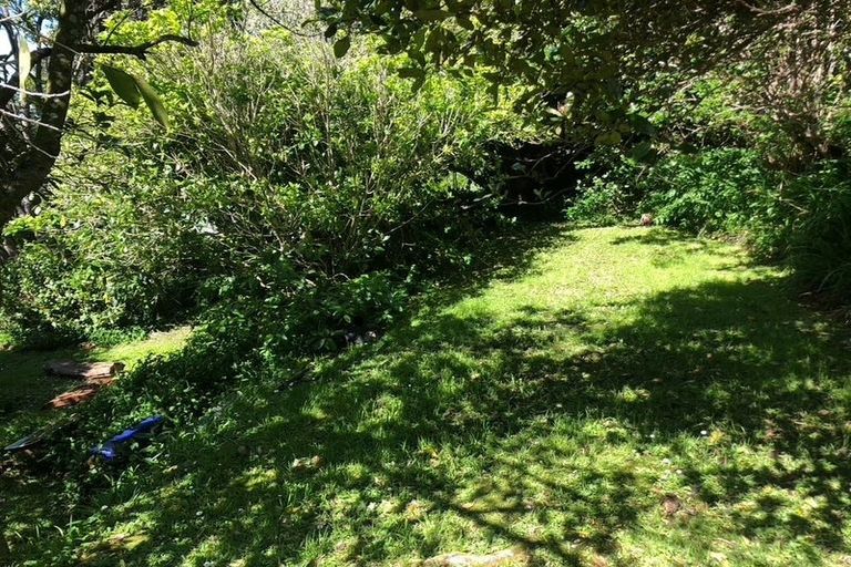 Photo of property in 19 Priscilla Crescent, Mornington, Wellington, 6021