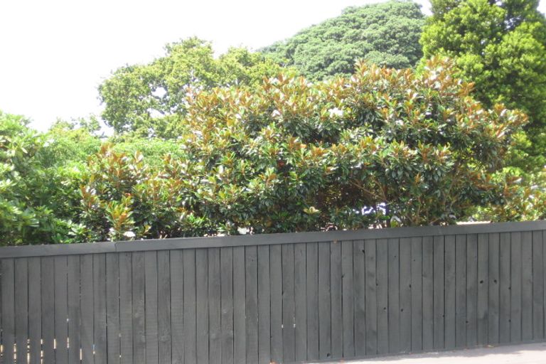 Photo of property in 76 Kitenui Avenue, Mount Albert, Auckland, 1025