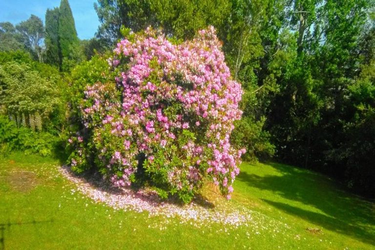 Photo of property in 20 Clyde Street, Dargaville, 0310