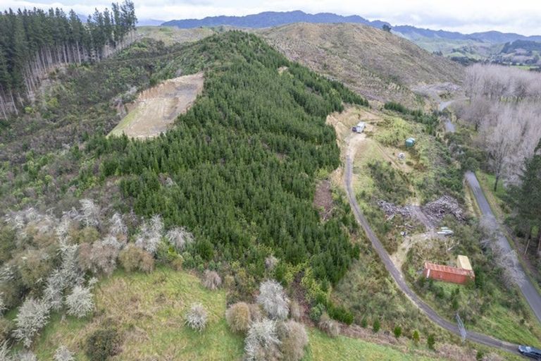 Photo of property in 133 South Road, Solway, Masterton, 5810