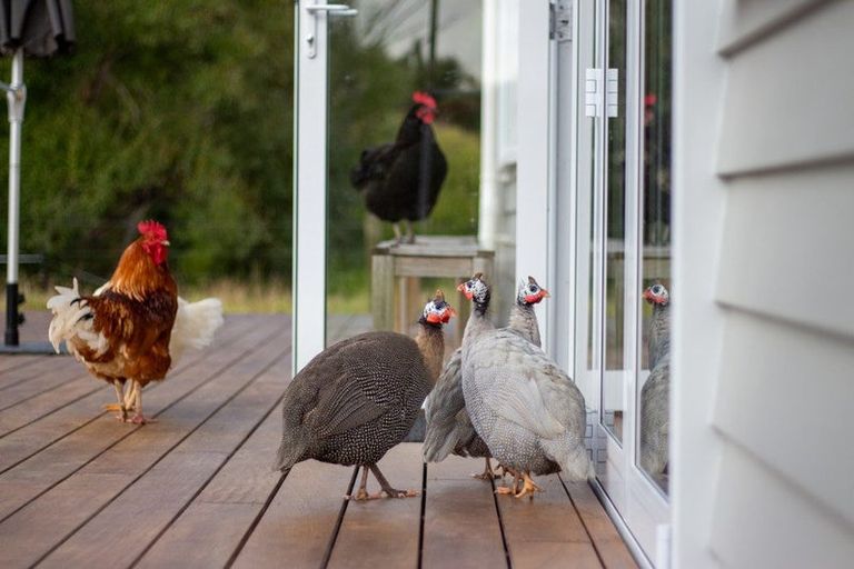 Photo of property in 16 Thompson Road, Kaitaia, 0481