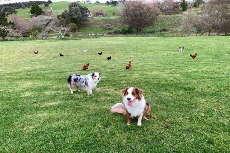 Photo of property in 124 Kanohi Road, Kaukapakapa, 0873