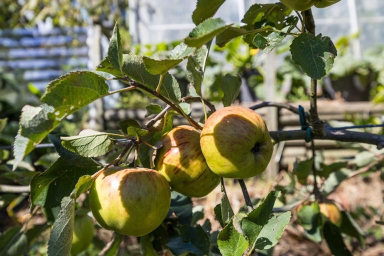 Photo of property in 78 Oxley Crescent, Broad Bay, Dunedin, 9014