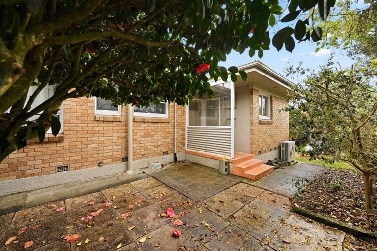 Photo of property in 14 Gilbass Avenue, Hamilton Lake, Hamilton, 3204