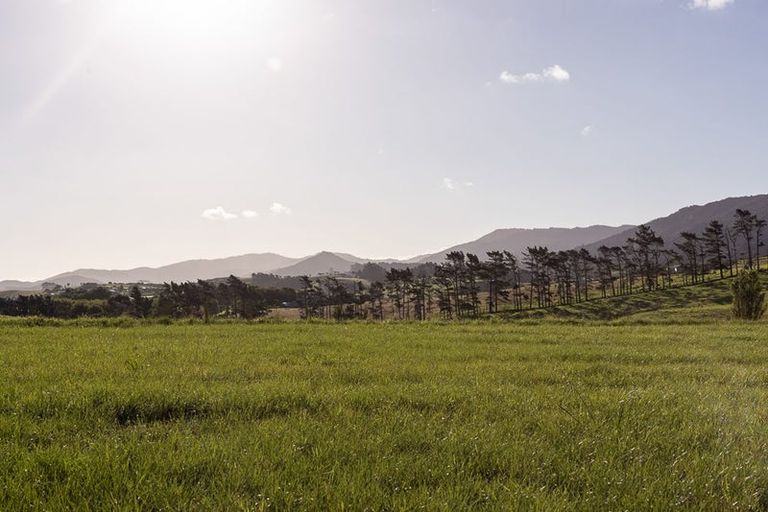 Photo of property in 55 Cullen Street, Mangawhai Heads, Mangawhai, 0505