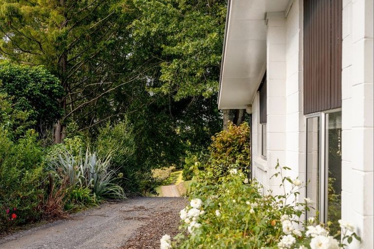 Photo of property in 93 Te Puna Quarry Road, Minden, Tauranga, 3179