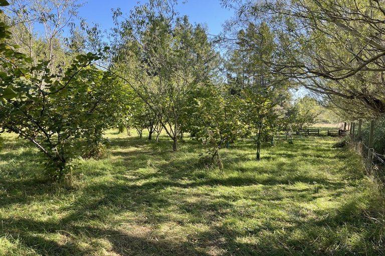 Photo of property in 37 Knoll Street, Milton, 9292